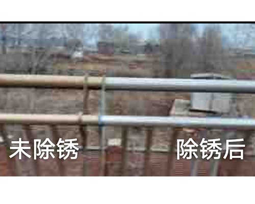 Copyright © 哈尔滨金士佳